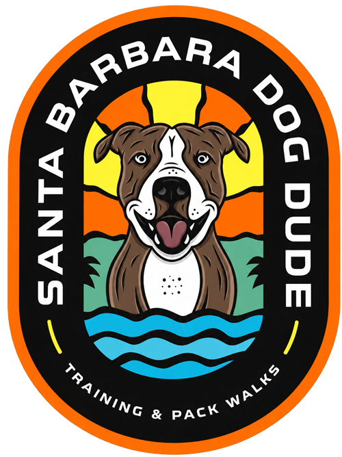 Santa Barbara Dog Dude — Training and Pack Walks